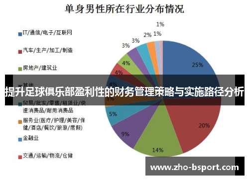 提升足球俱乐部盈利性的财务管理策略与实施路径分析